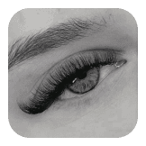 Volume Lashes