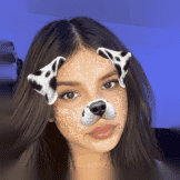 Dog Face - glitter mask