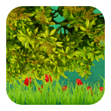 Green Bushes