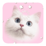 BlingCat