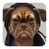 GRUMPY PUPPY