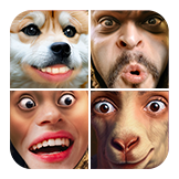 Face Cutout