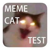 meme cat test