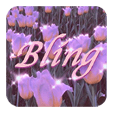 Aesthetic Bling