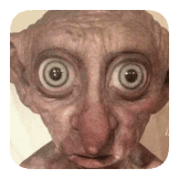 zoiudo