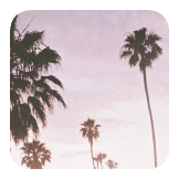 BAHAMAS BY BRYANT