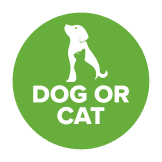 DOG OR CAT