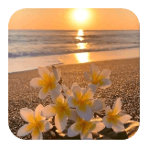 beautiful landscapes