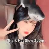 Shark Hat Slow Zoom