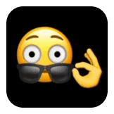Animation Emoji Photo v5