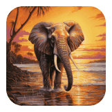 lucky elephant