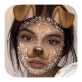 TikTok Effect - glitter + dog