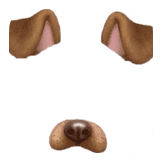 Snapchat dog 3.0
